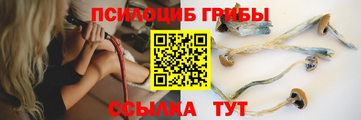Псилоцибиновые грибы мухоморы  Псилоцибиновые грибы прущие грибы  Вход с VPN  Городец 